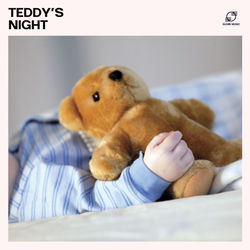 Cover of Teddy's Night by undefined