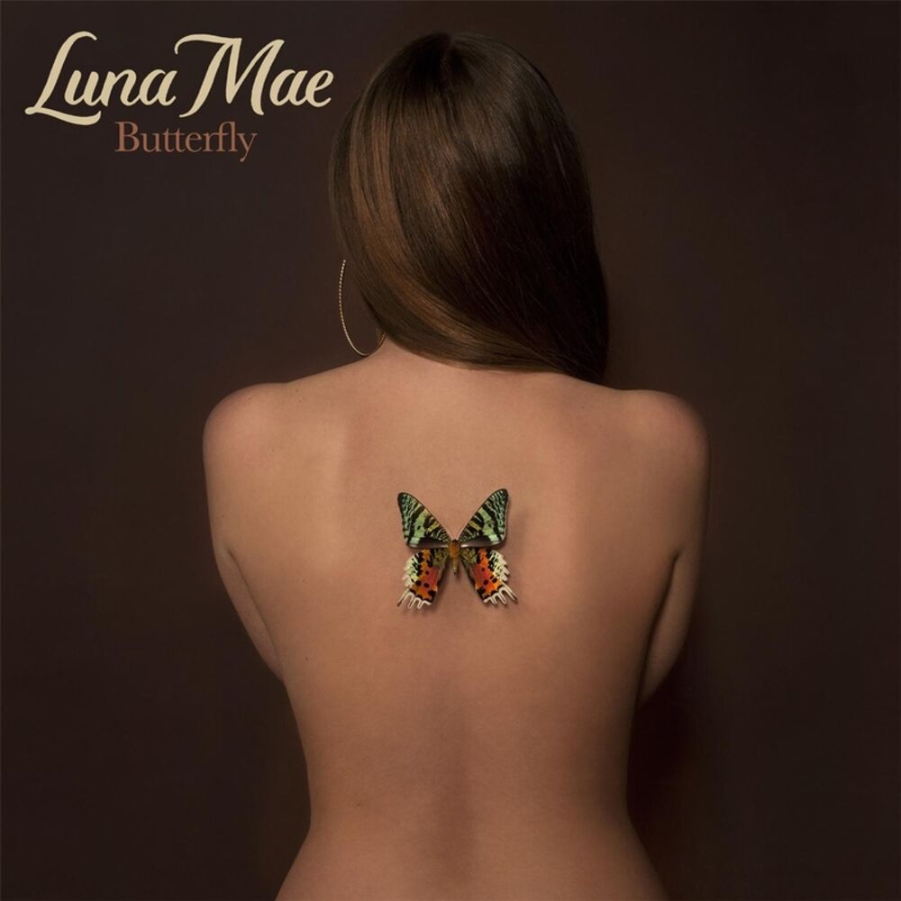 Picture of Butterfly