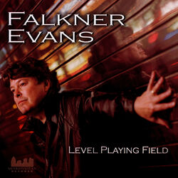 Cover of Level Playing Field
