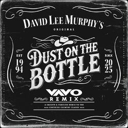Cover of Dust On The Bottle (VAVO Remix)