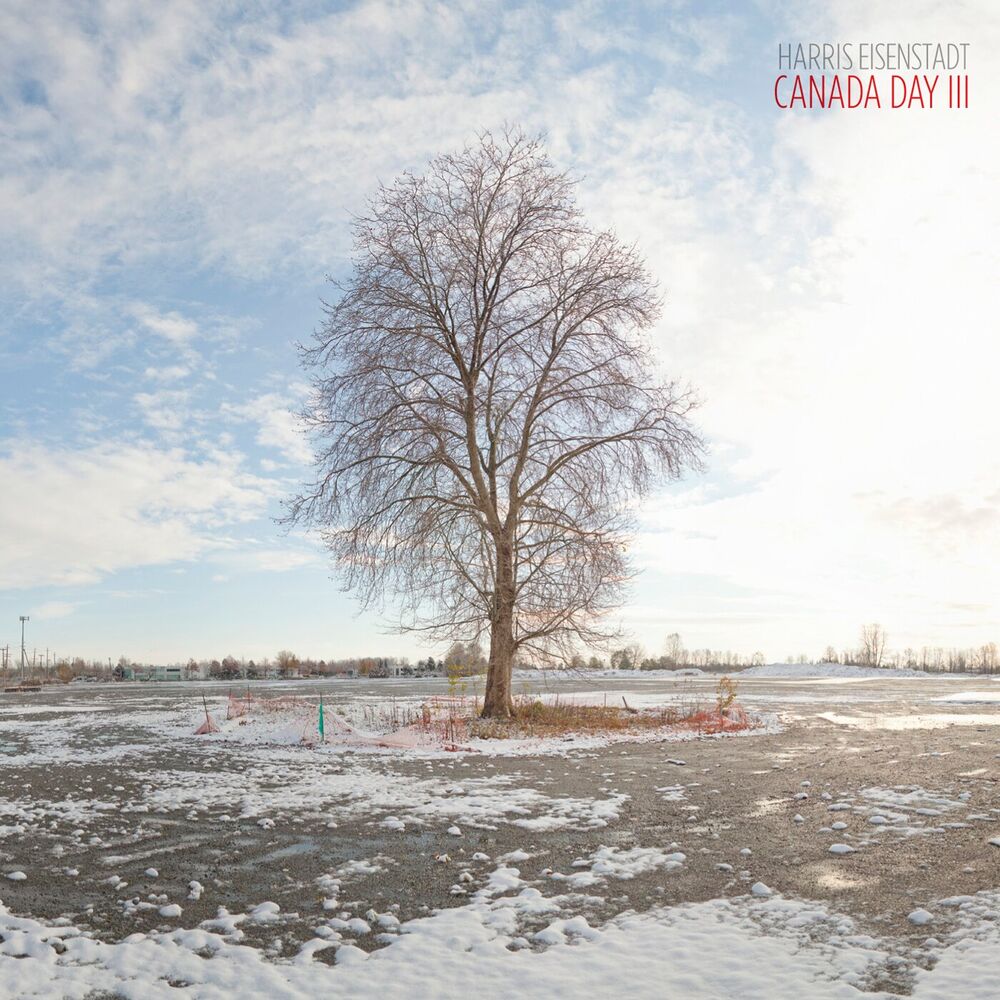 Picture of Canada Day III