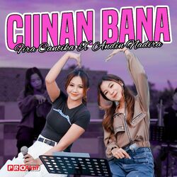 Cover of Ciinan Bana