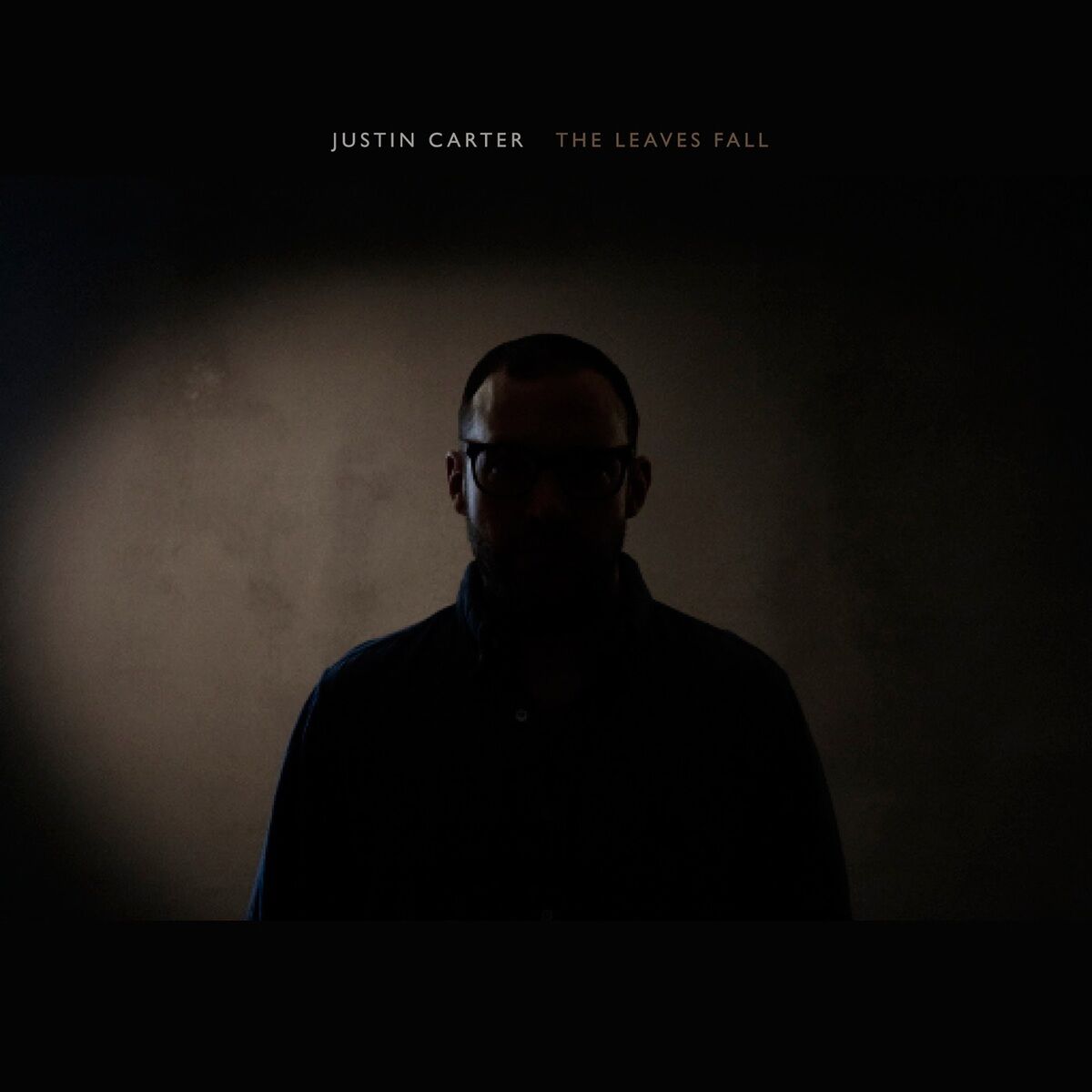 Album cover of Leaves