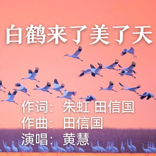 白鹤来了美了天