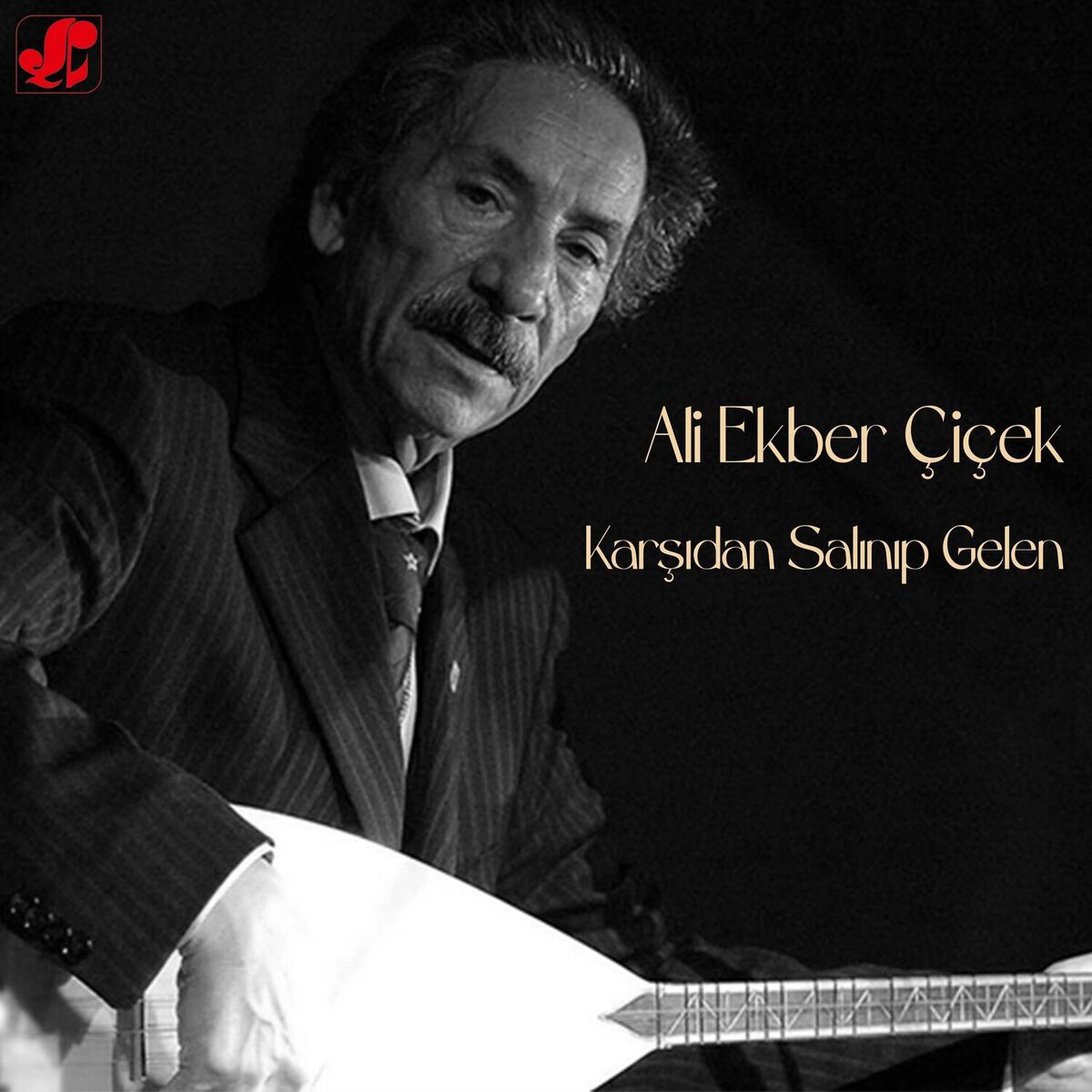 Album cover of Karşıdan Salınıp Gelen