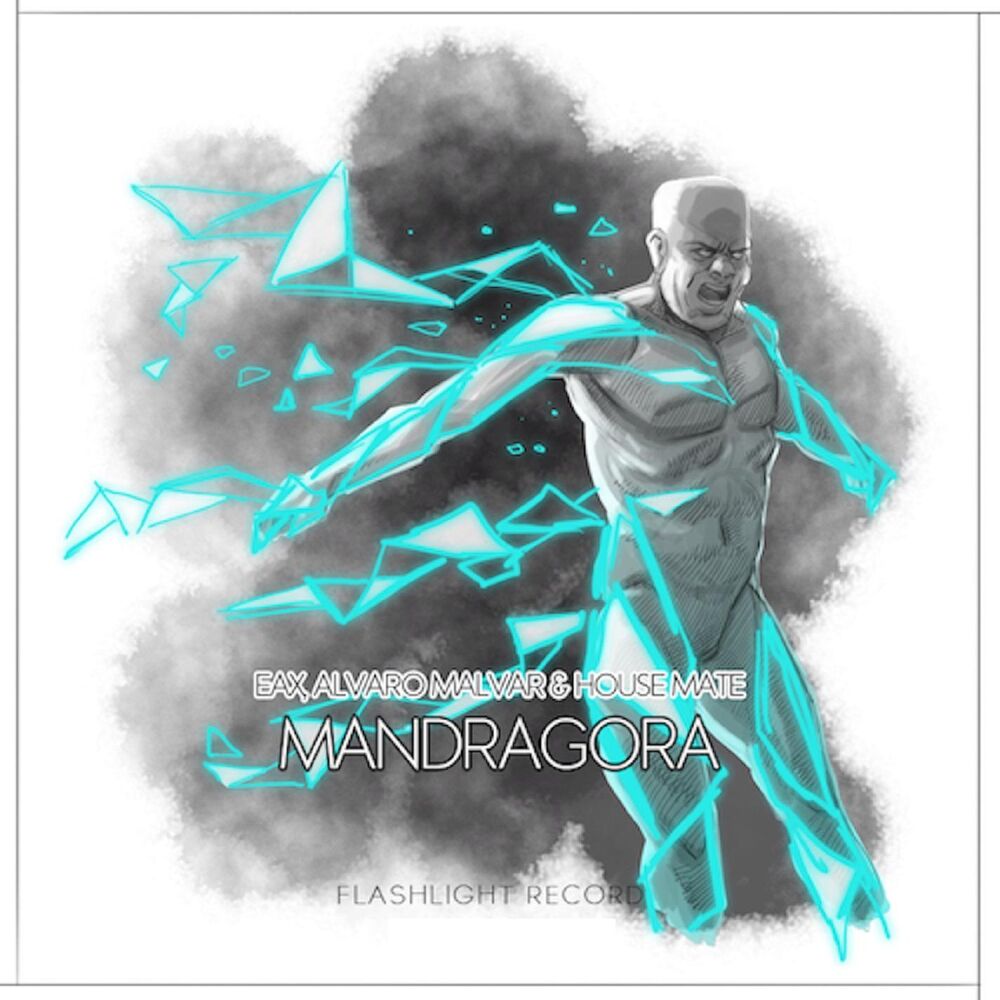 Picture of Mandragora