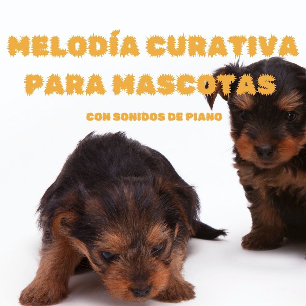 Picture of Melodía Curativa Para Mascotas Con Sonidos De Piano