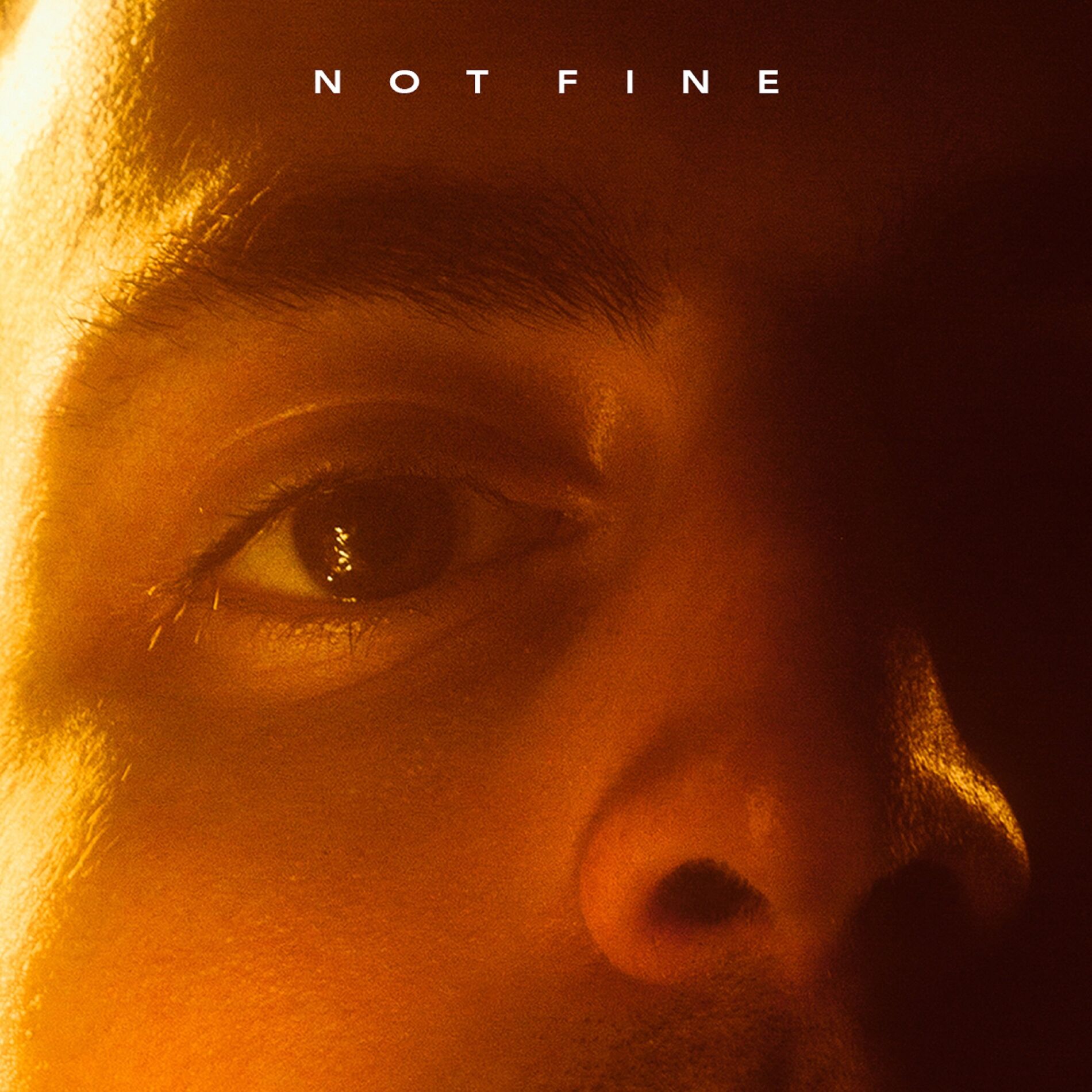 Album cover of Not Fine