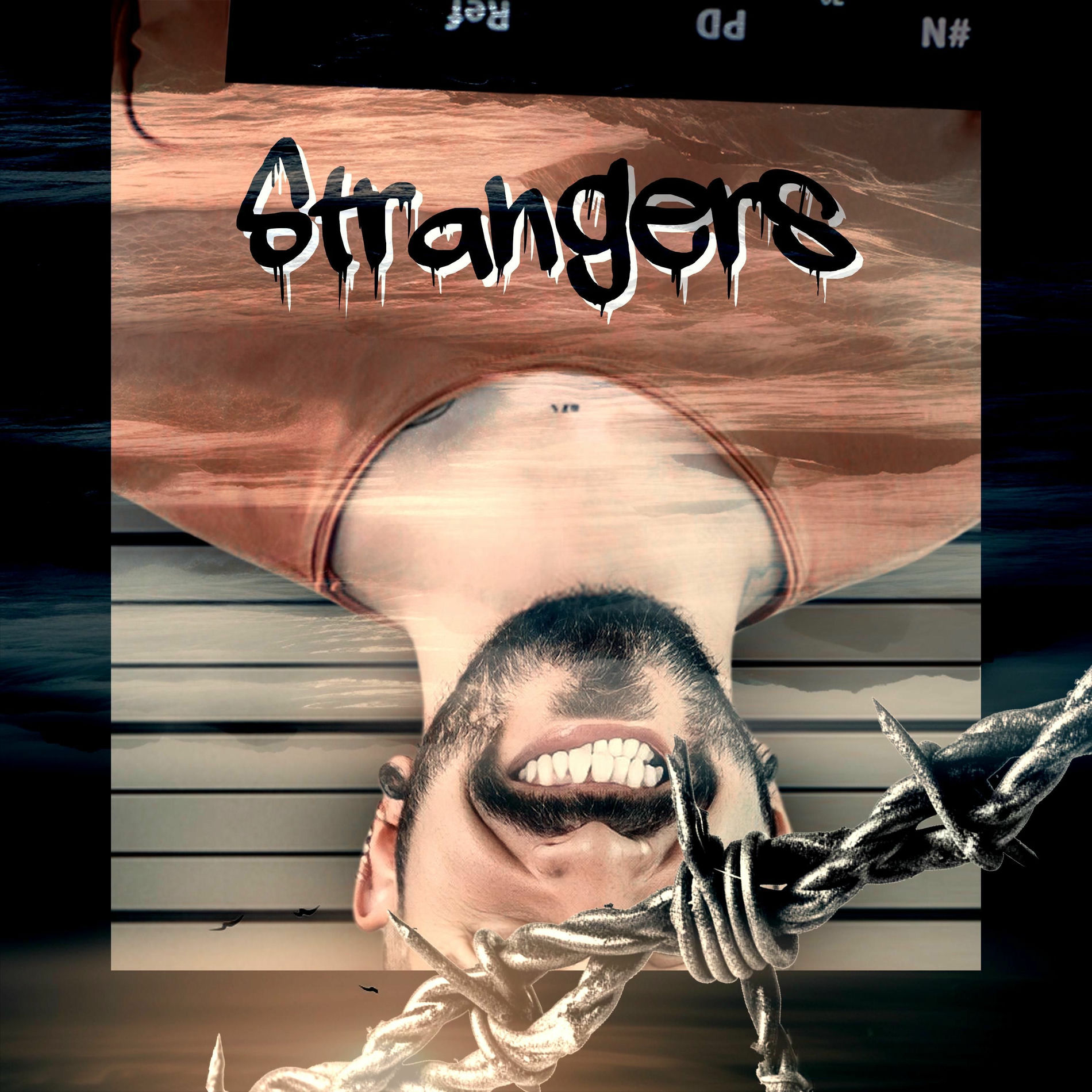 Album cover of Strangers
