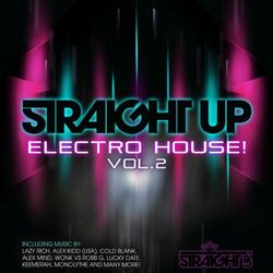 Cover of Straight Up Electro House! Vol. 2