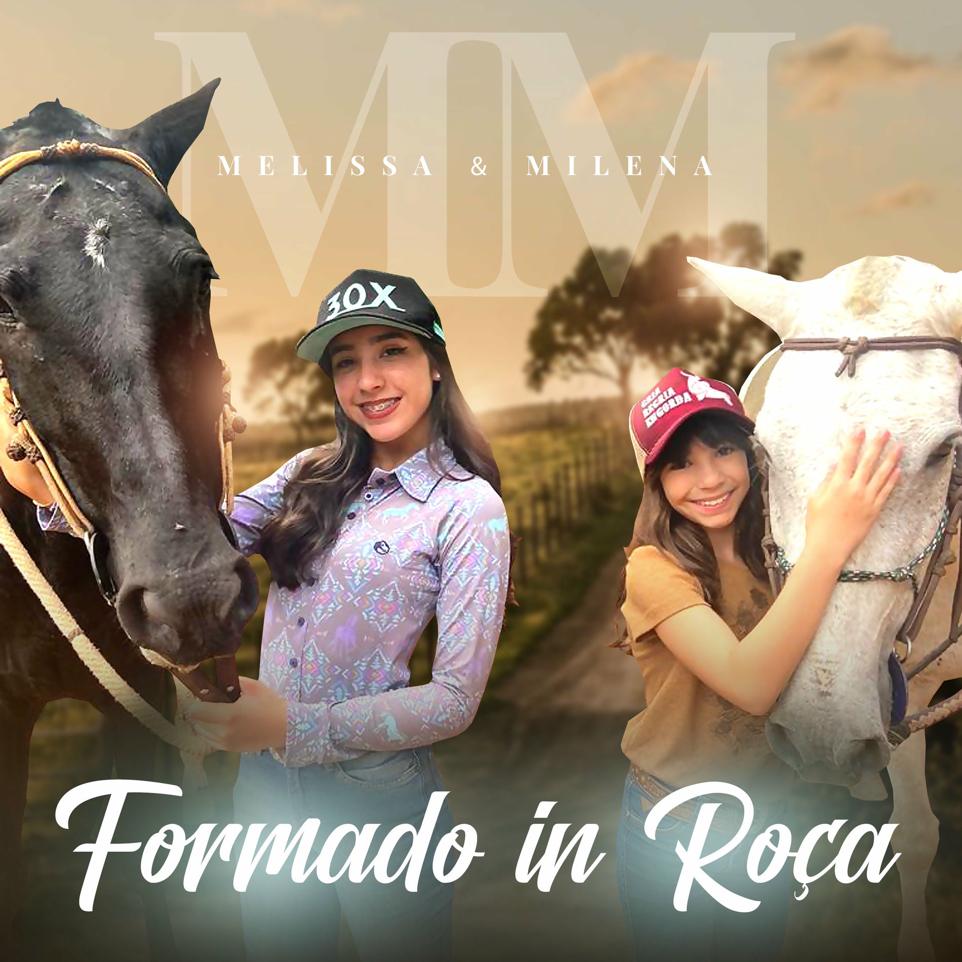 Album cover of Formado In Roça