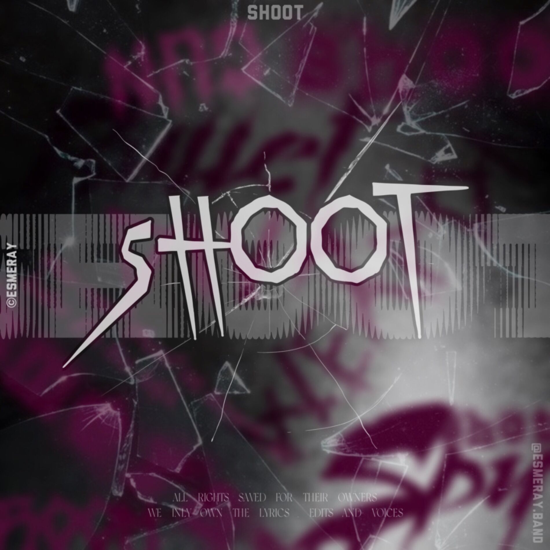 Album cover of Shoot
