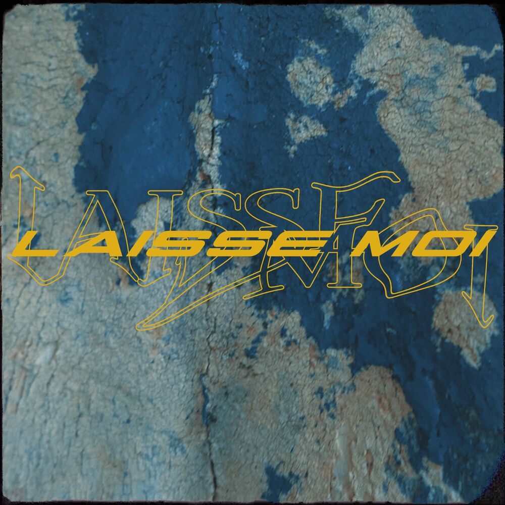 Picture of Laisse moi
