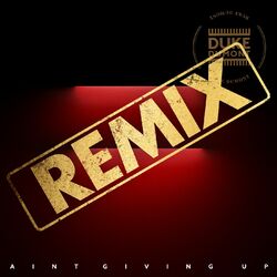 Cover of Ain’t Giving Up (Paul Woolford’s Special Request Remix)