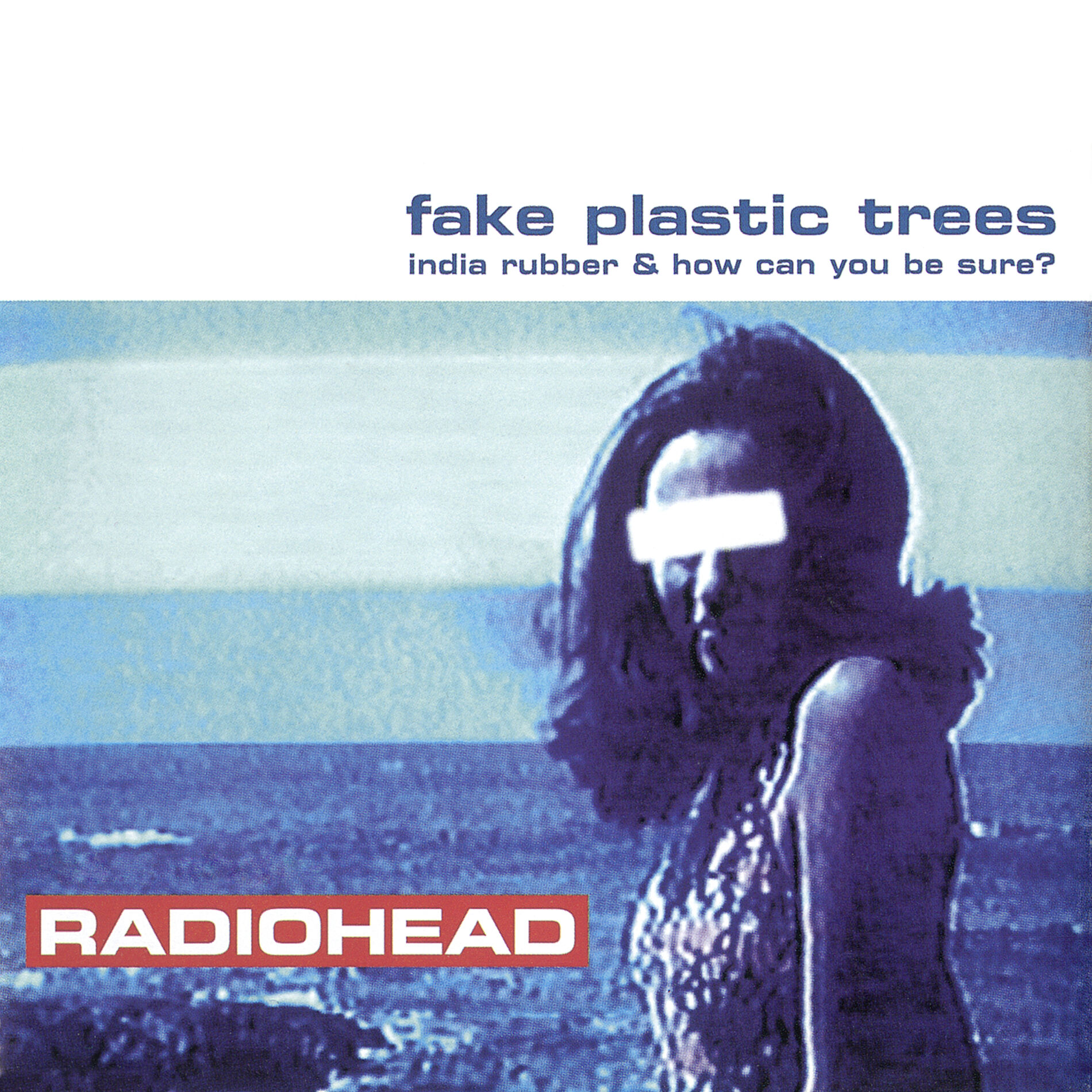 Album cover of Fake Plastic Trees