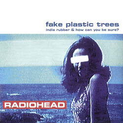 Cover of Fake Plastic Trees