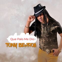 Cover of Que Palo Me Dio