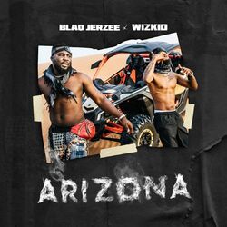 Cover of Arizona