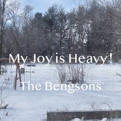 Cover of My Joy Is Heavy!