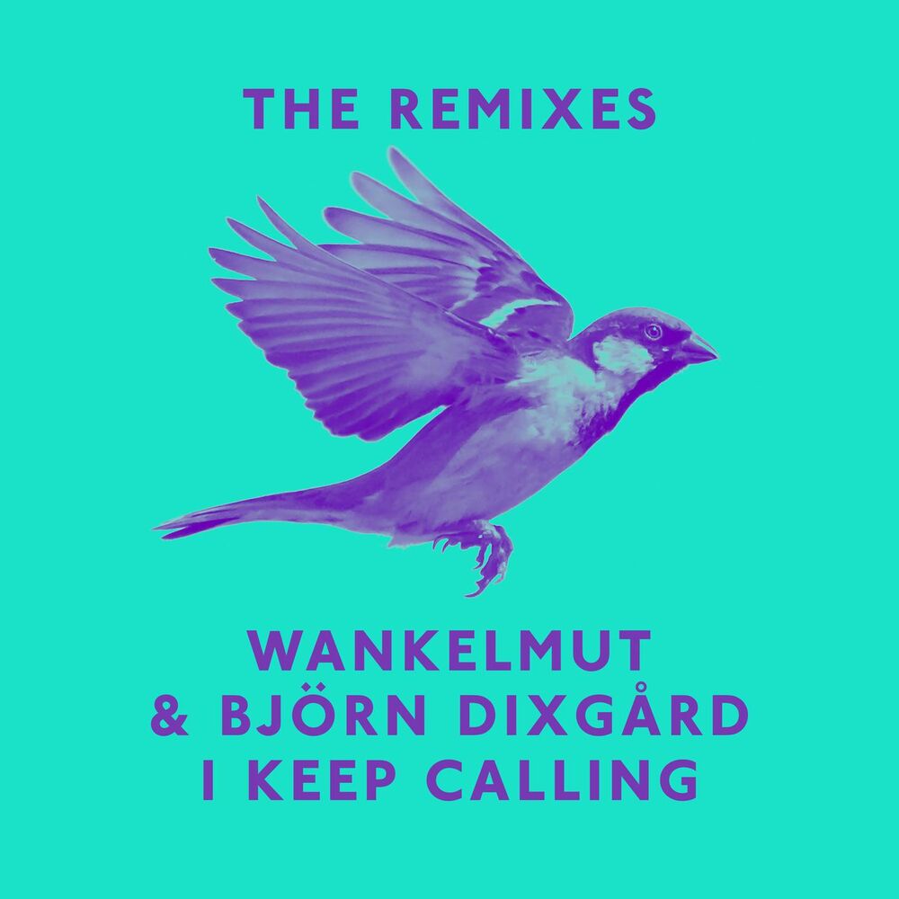 Picture of I Keep Calling (Remixes)