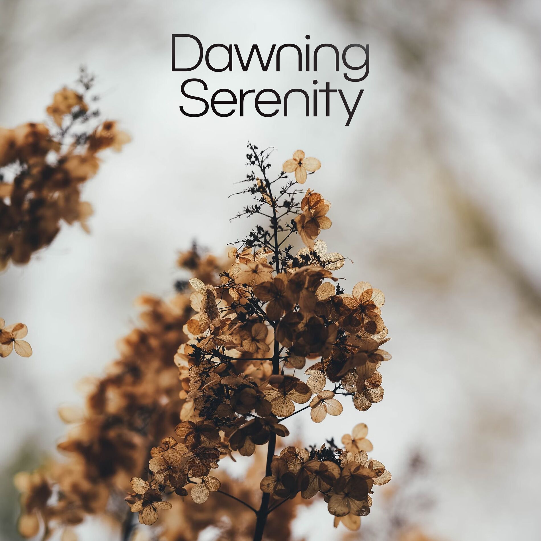 Album cover of Dawning Serenity