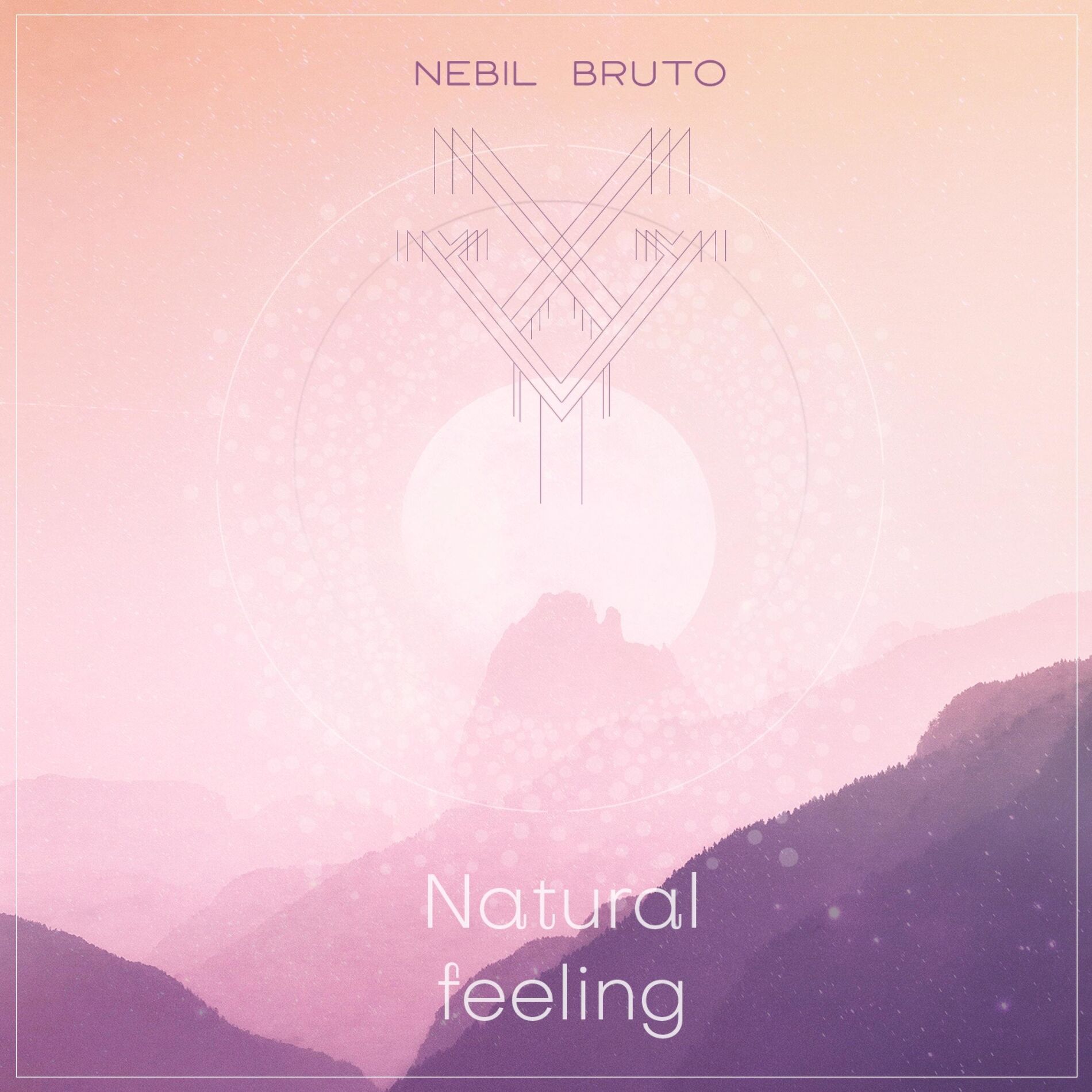 Album cover of Natural feeling