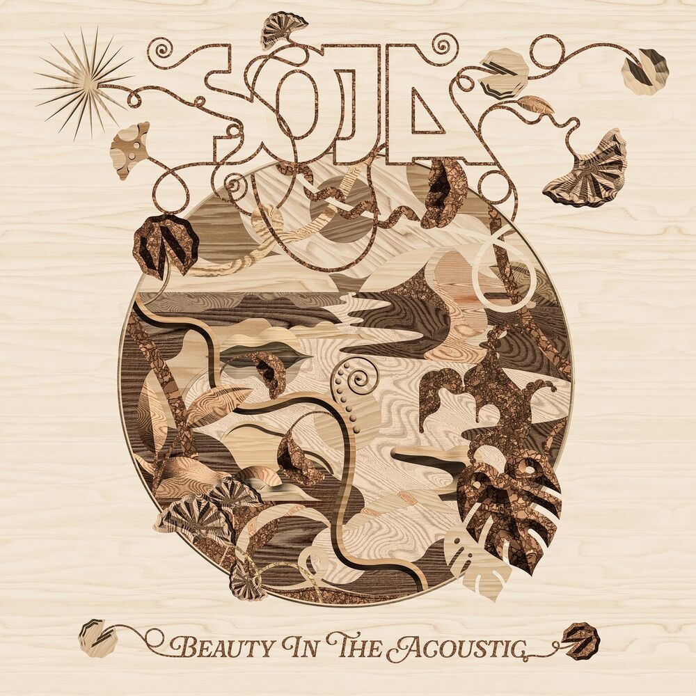 Picture of Back To The Start (Acoustic)