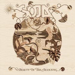 Cover of Beauty In The Acoustic (Acoustic)