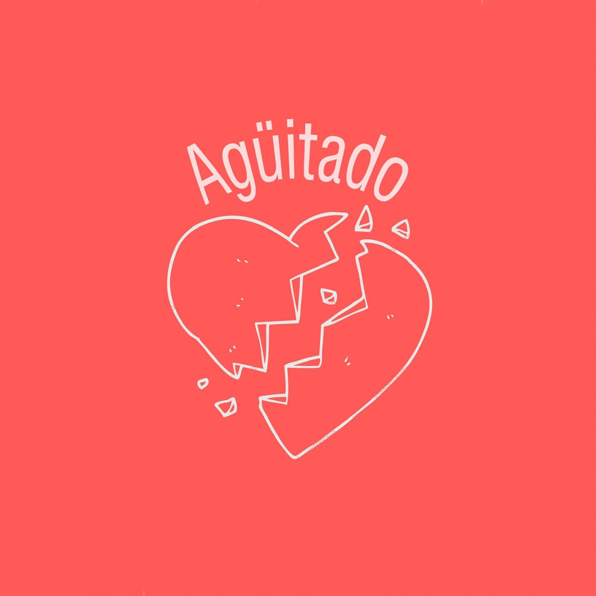 Album cover of Tu Pendejo
