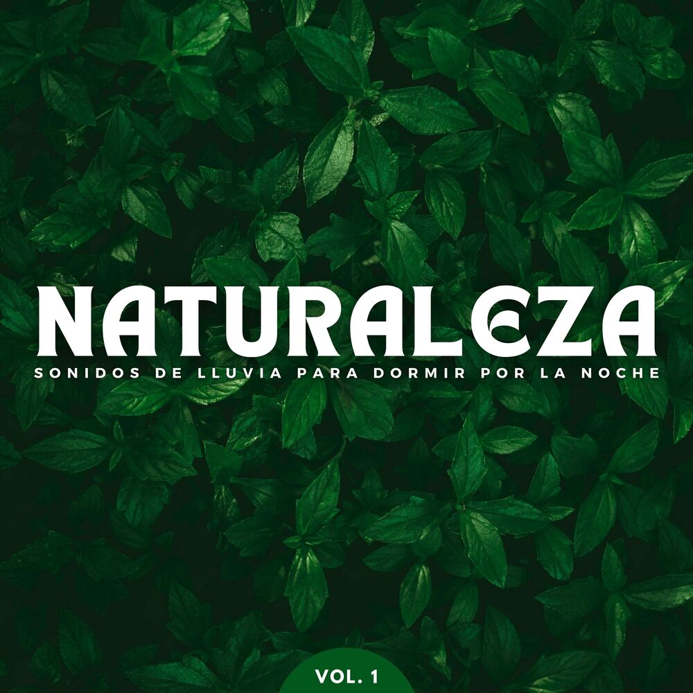 Picture of Naturaleza: Sonidos De Lluvia Para Dormir Por La Noche Vol. 1