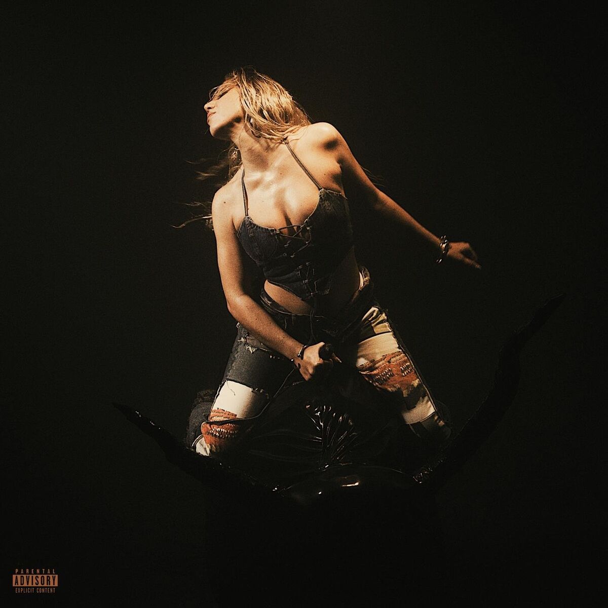 Album cover of La Revanche