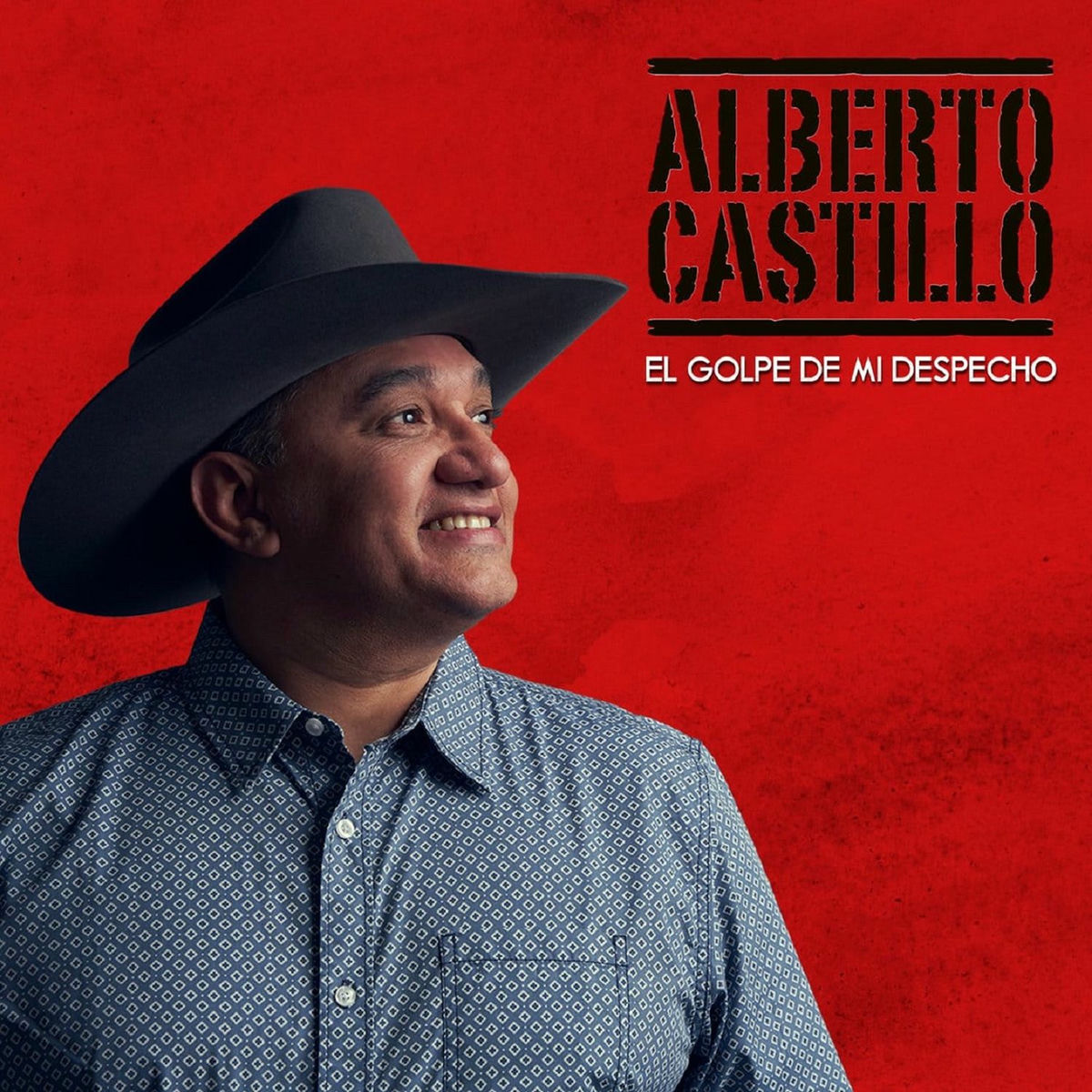 Album cover of El Golpe de mi Despecho