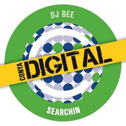 Cover of Searchin