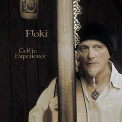 Cover of Celtic Experience