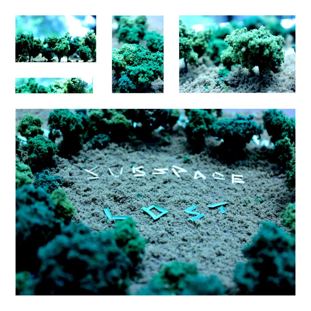 Picture of Lost