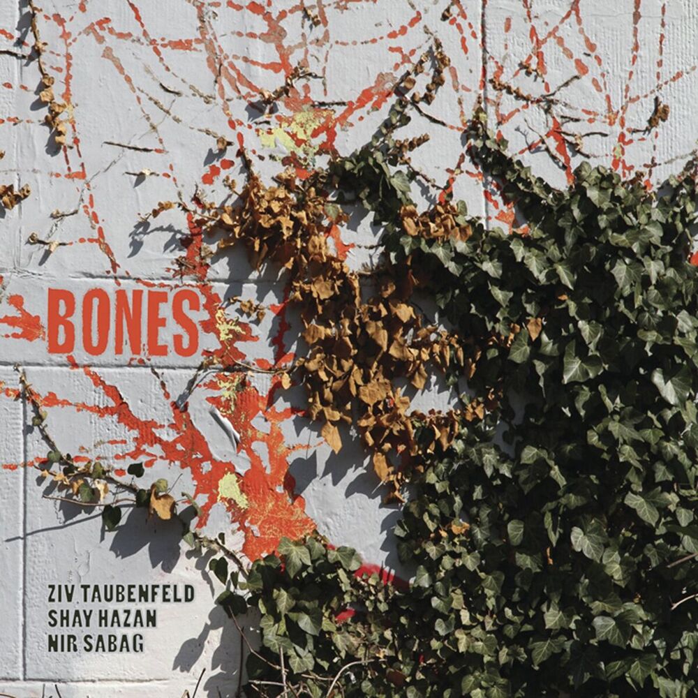 Picture of Bones