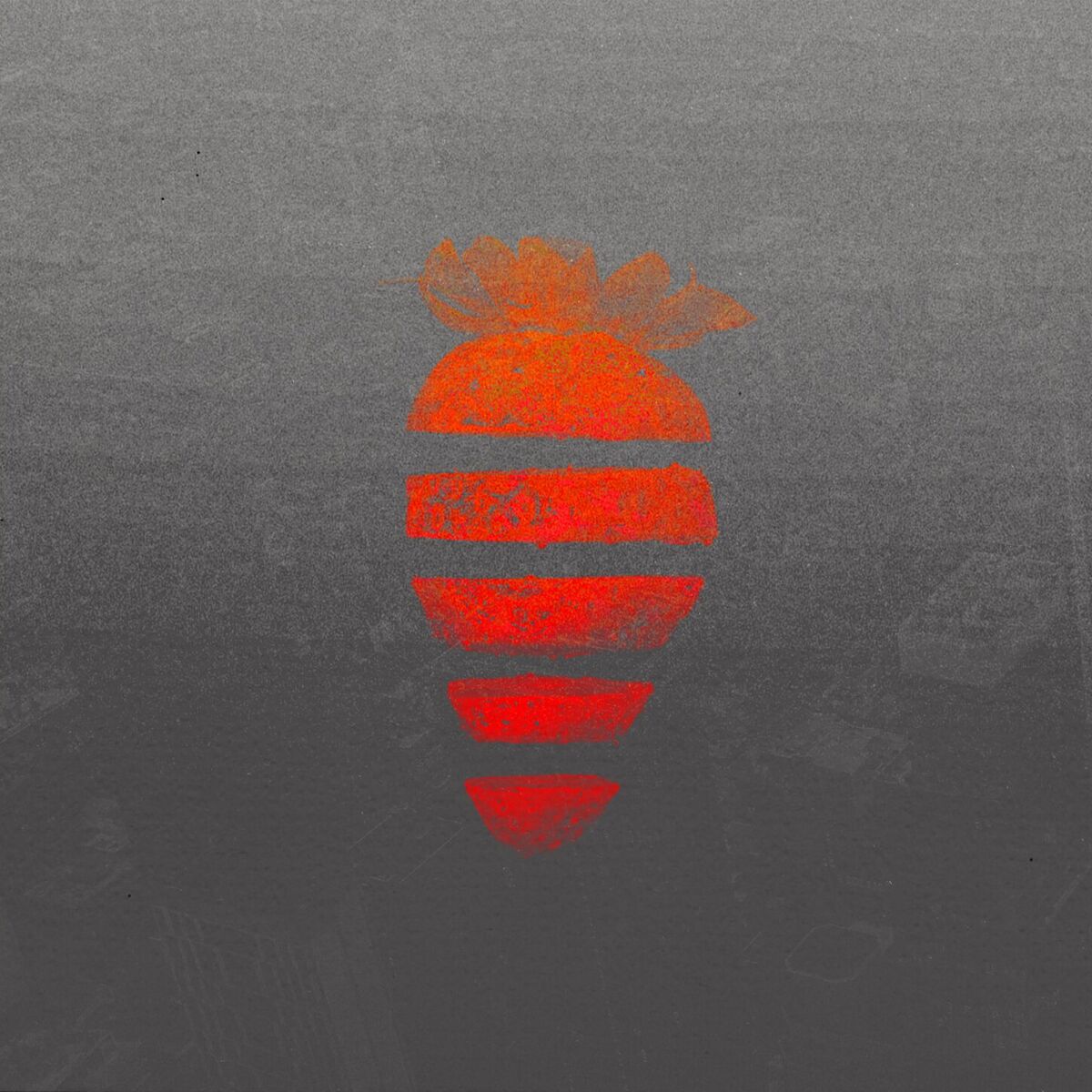 Album cover of Erdbeeren im Dezember