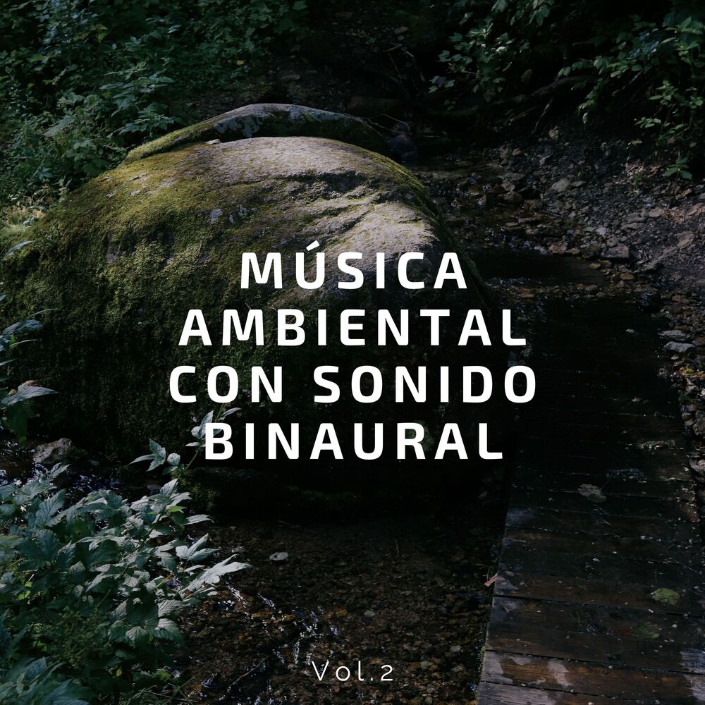 Picture of Música ambiental con sonido binaural Vol.2