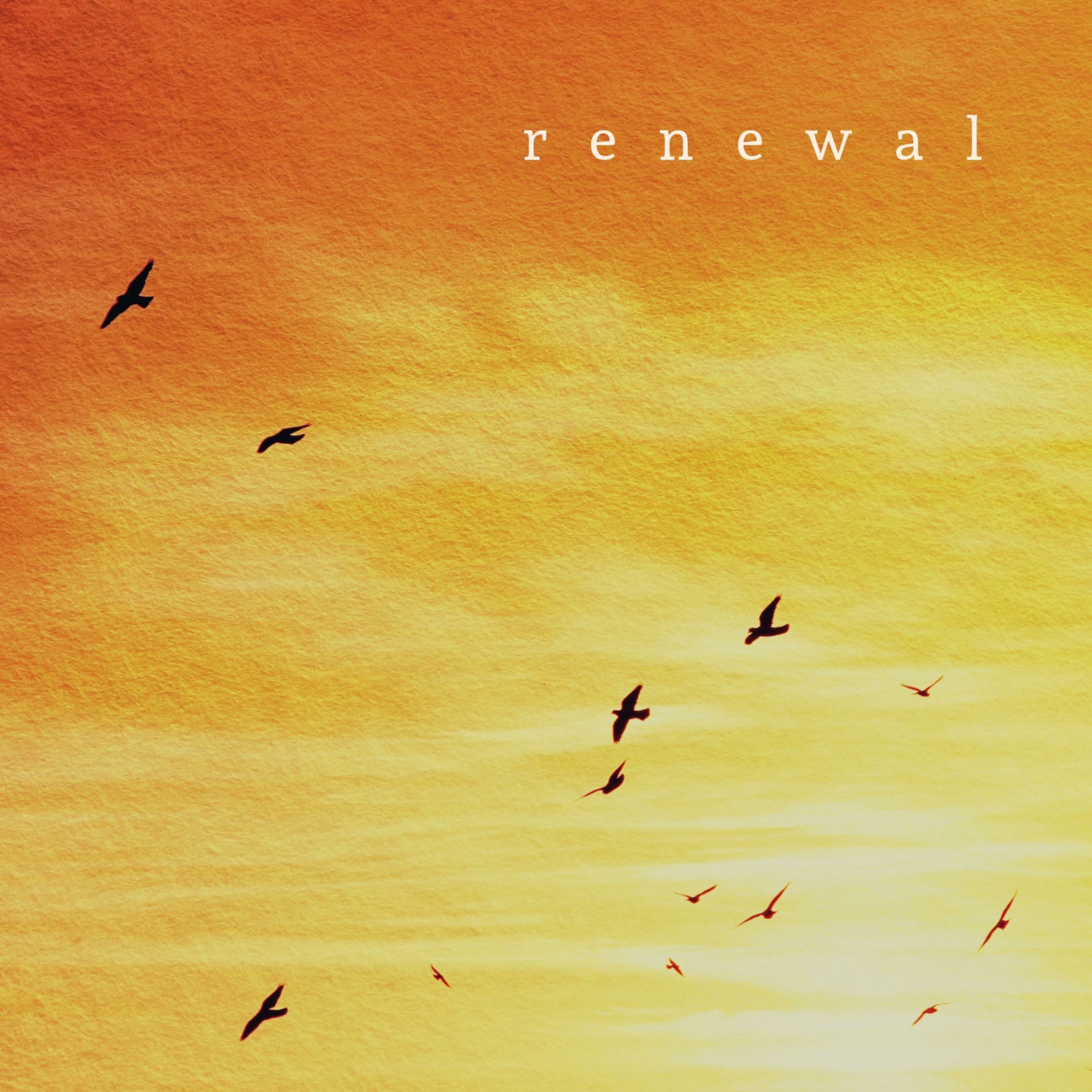 Album cover of Renewal