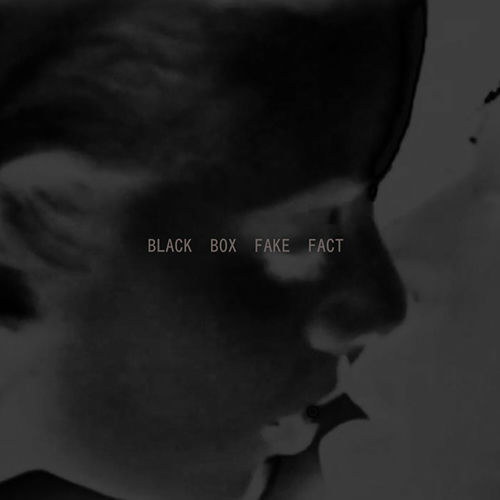 BLACK BOX FAKE FACT sleeve
