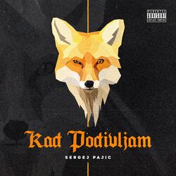 music cover