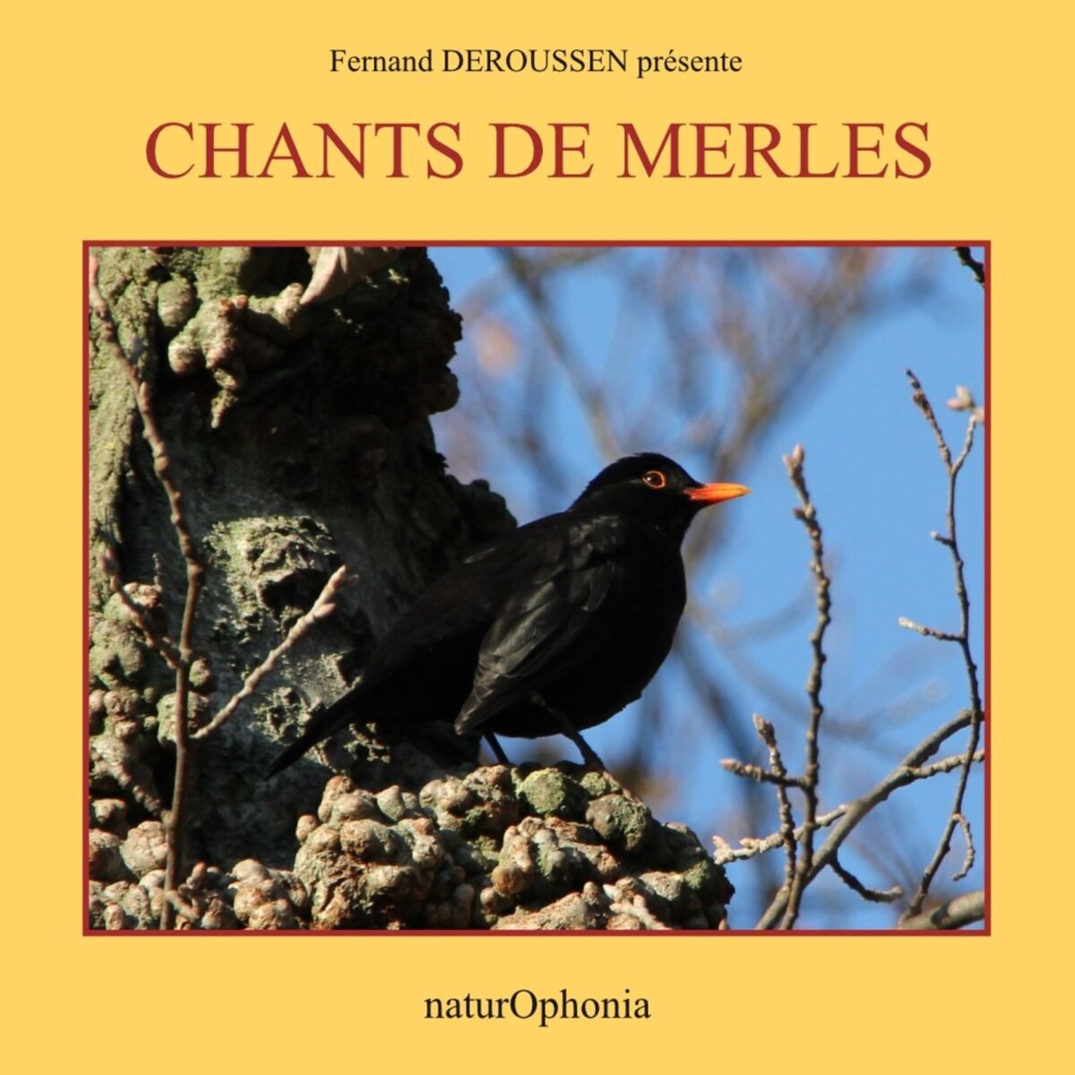 Album cover of Naturophonia: Chants de merles