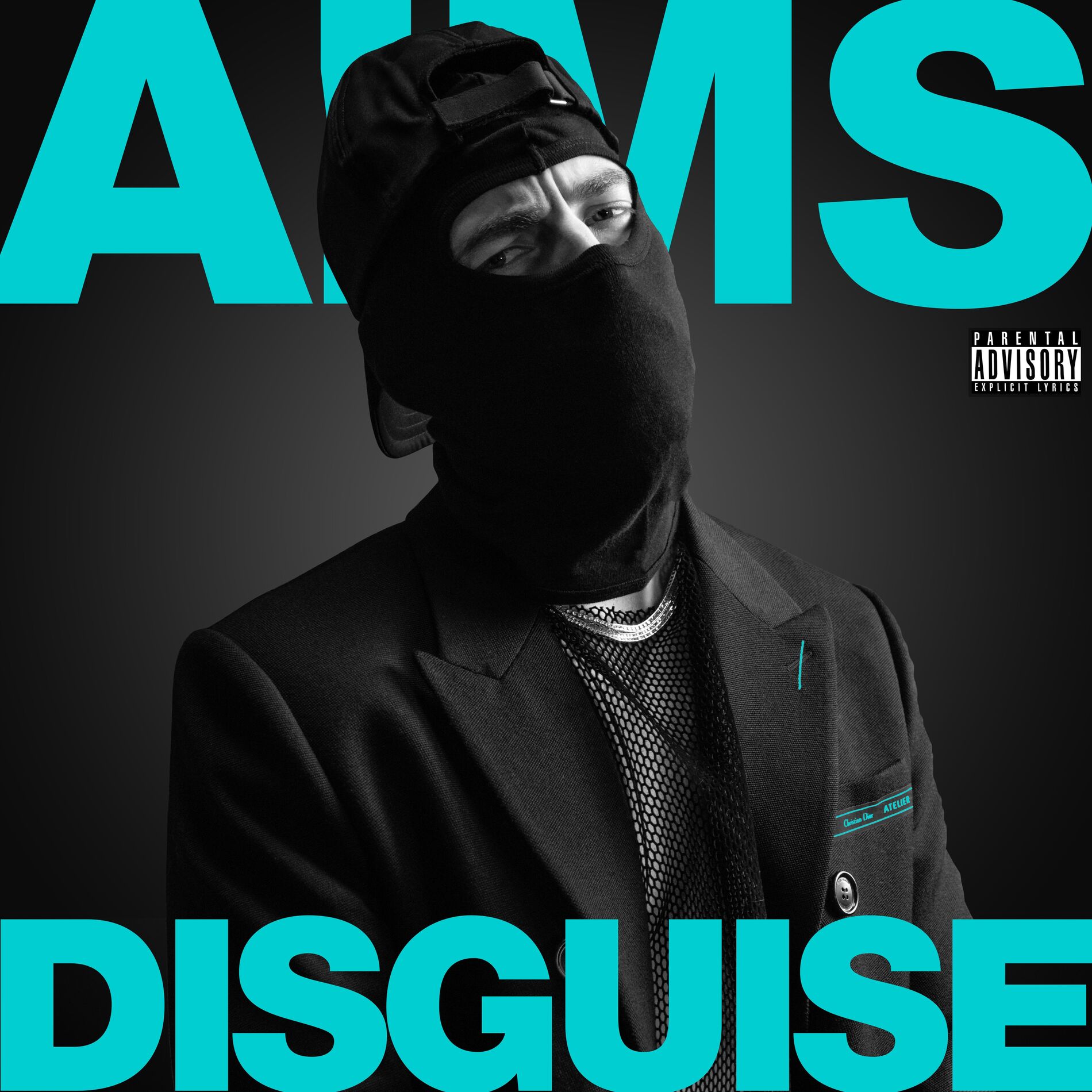 Album cover of Disguise
