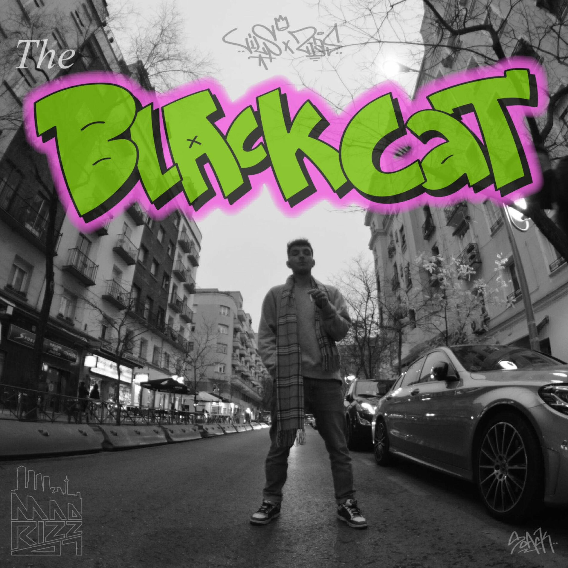 Album cover of THE BLACKCAT ALBUM