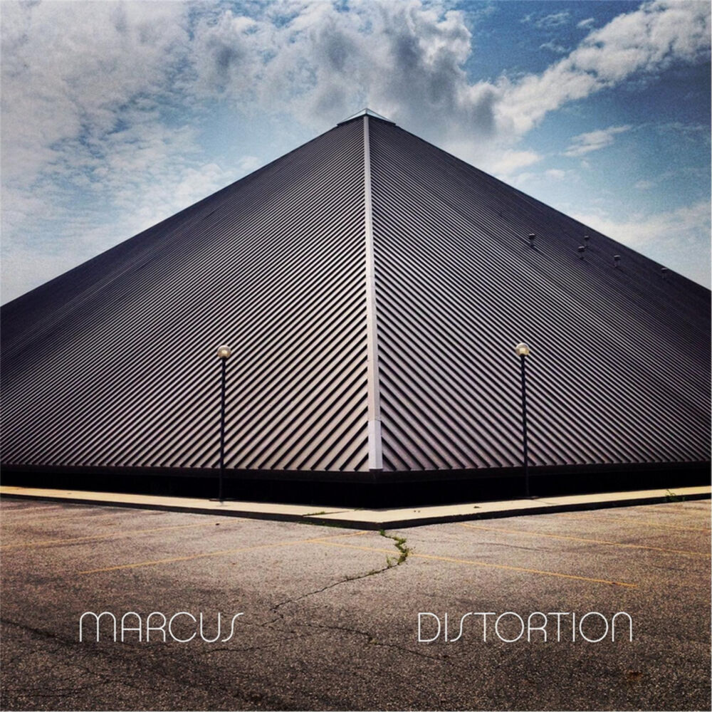 Picture of Distortion