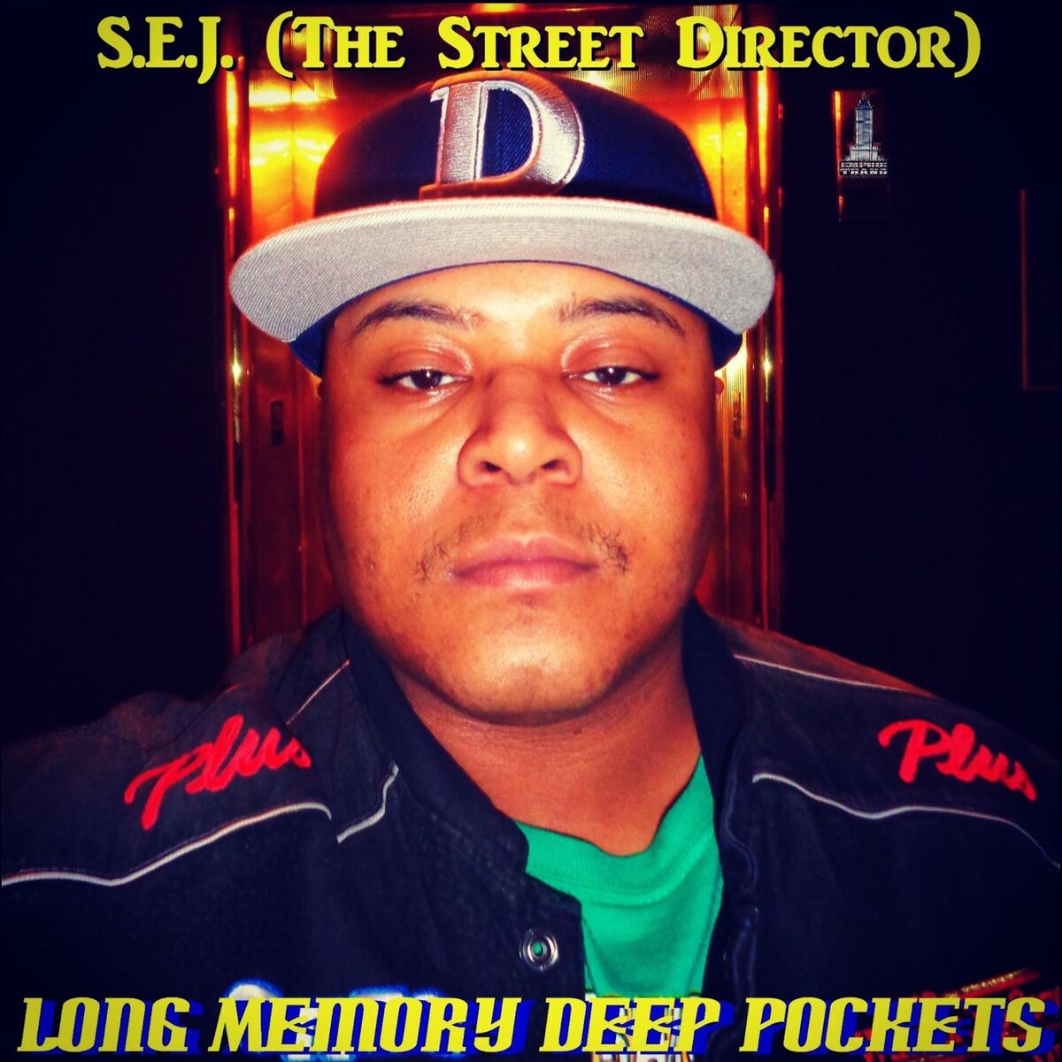 Album cover of Long Memory Deep Pockets
