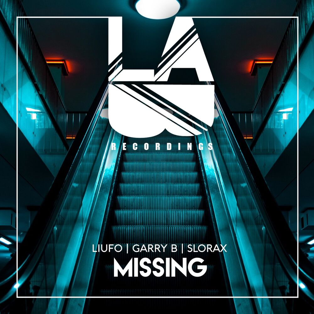 Picture of Missing