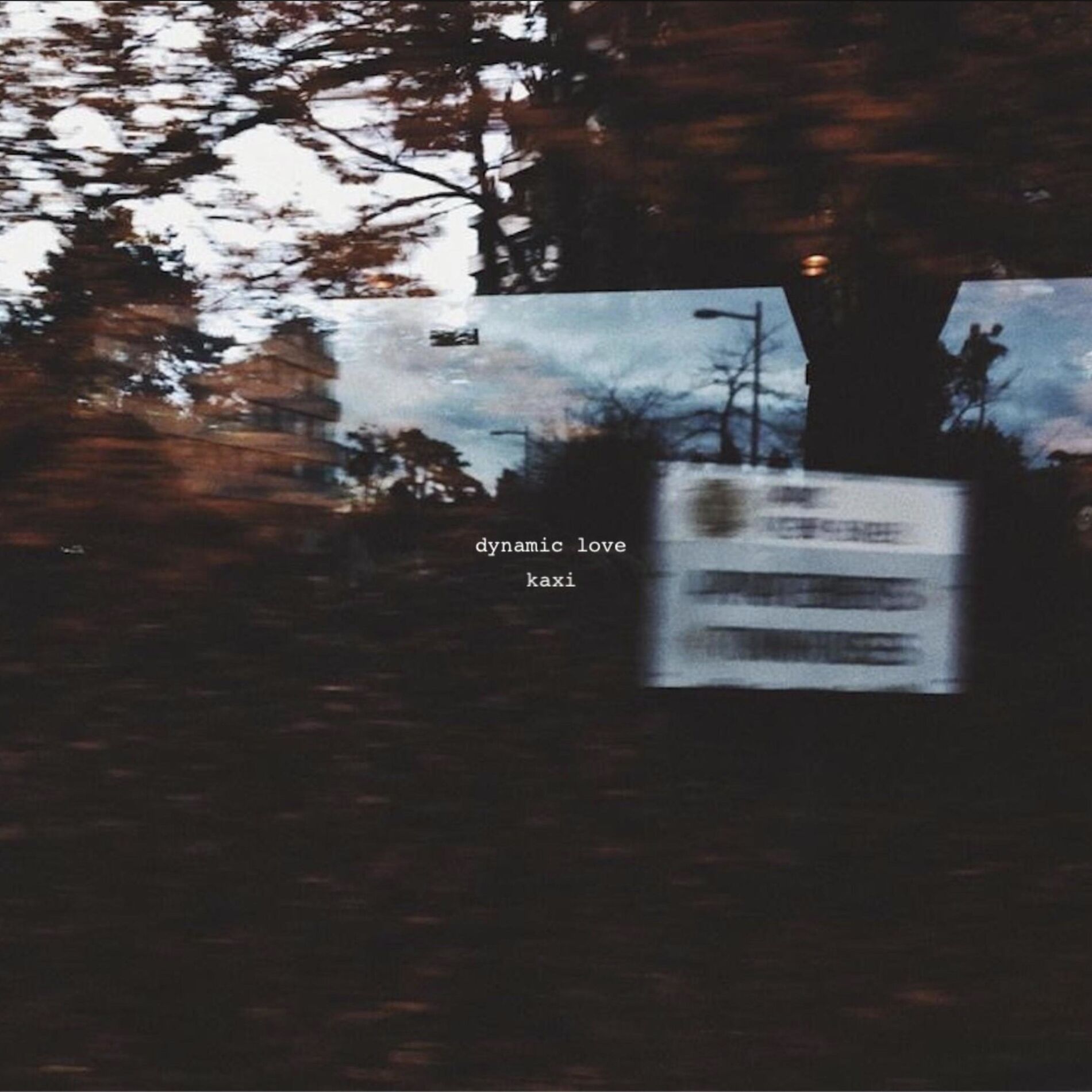 Album cover of Dynamic Love