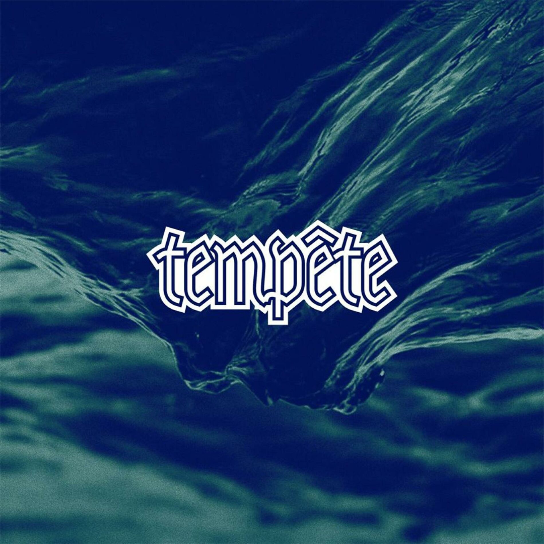 Album cover of Tempête (feat. Roza)