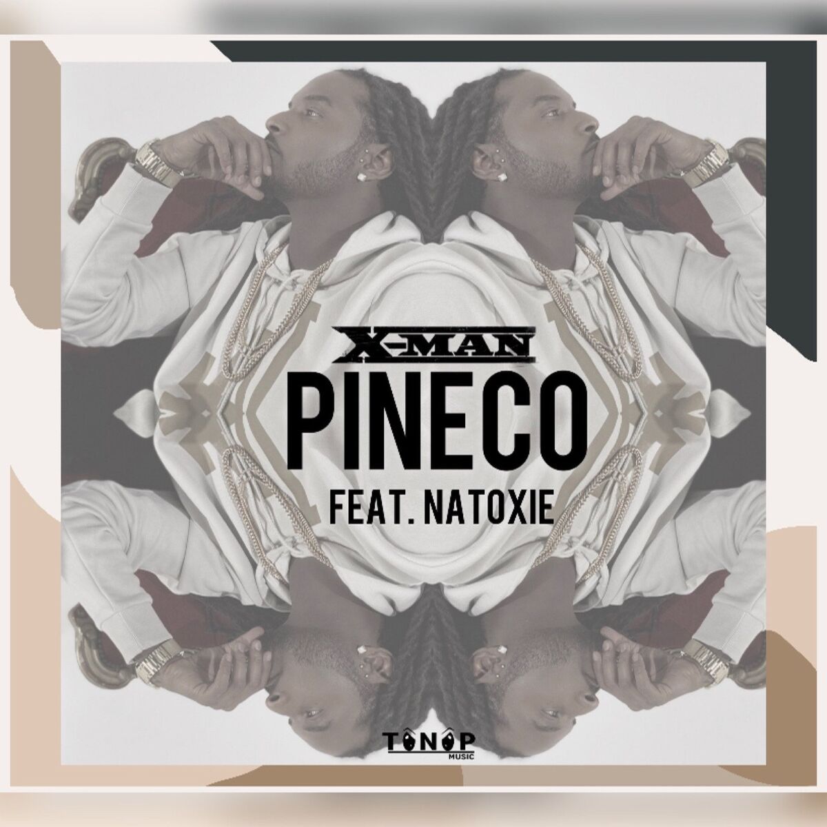 Album cover of Pineco
